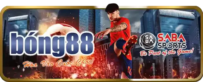 Thống kê và phân tích 88ok